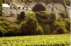 Loire vineyard tour