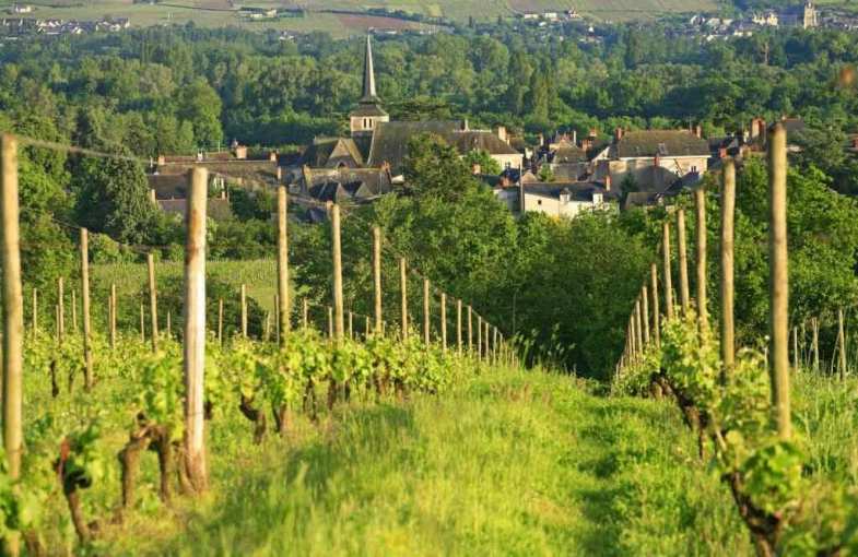 Dégustation vins biologiques Loire