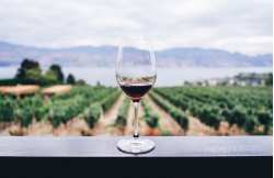 Discovery stay of Rhône wines
