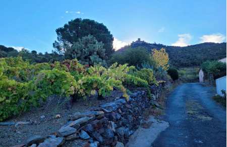 Vineyard hiking trails Languedoc-Roussillon