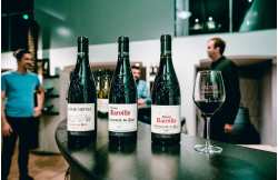 Châteauneuf-du-Pape tasting weekend