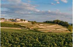 Saint-Emilion and Pomerol wine tour