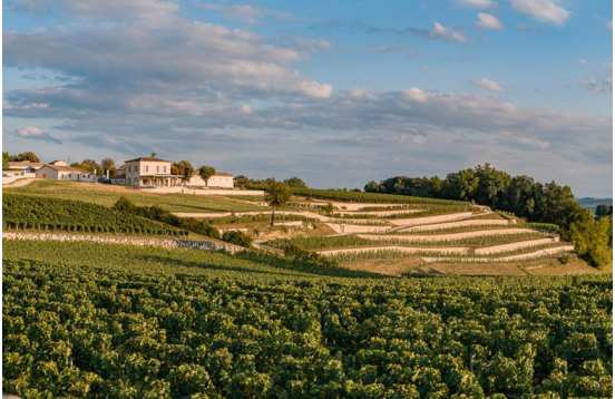 Wine Day in Saint-Emilion and Pomerol