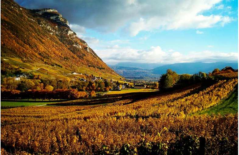 Séjour viticole Chambéry