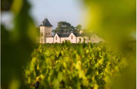 Visits to wineries in Anjou - Loire Valley