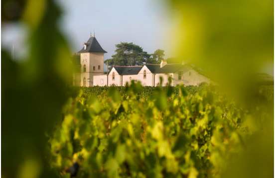 Visites de domaines viticoles en Anjou