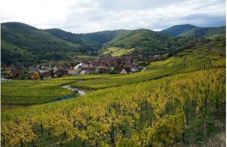 A day on the Alsace Wine Route