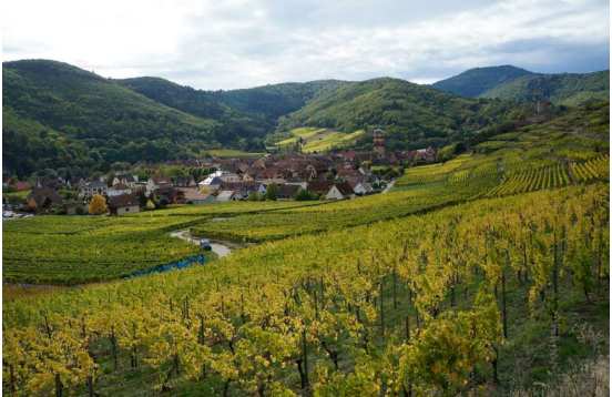 Journée sur la Route des Vins d'Alsace