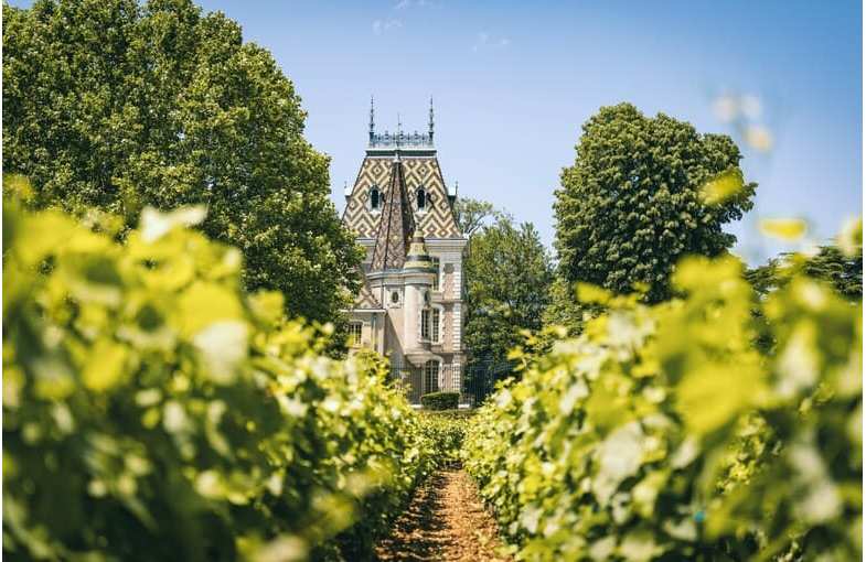 Journée découverte des vins de Bourgogne