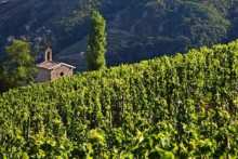 wine tourism in the Rhone Valley