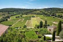 wine tourism in Provence