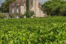 wine tourism in the South-west of France