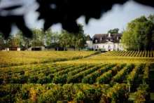 wine tourism in Bordeaux