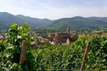 wine tourism in Alsace