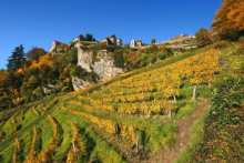 wine tourism in Jura