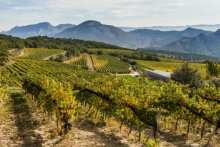 wine tourism in Catalonia
