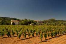 wine tourism in Languedoc-Roussillon